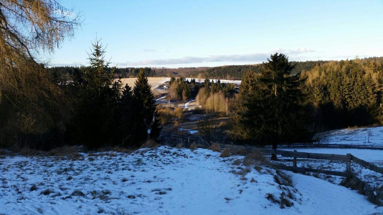 Ferienhaeuser In Allrode